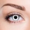 White Out Contact Lenses (1Day Expiry - 9/23) -Eye Colors Sale 5 min