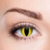 Wild Cat Contact Lenses (Anime - Orochimaru) 2 Wild Cat Contact Lenses (Anime - Orochimaru) -Eye Colors Sale 6 min