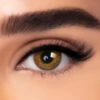 Brown Blends -Eye Colors Sale BlendsBrown 2048x2048 6fdb2095 0cc8 46a8 825e 9822484bf722