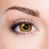 Brown Eye To Eye -Eye Colors Sale BrownEyetoEye 807b0c65 d222 473c aff9 ab05c35d50a2