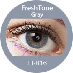 Gray Blends (1Day Expiry - 5/23) 14 Gray Blends (1Day Expiry - 5/23) -Eye Colors Sale GrayBlends