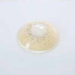 FreshGo - Ocean Jade Green Coloured Contacts -Eye Colors Sale OceanJadeGreenColoredContacts4