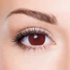 Red Mesh -Eye Colors Sale RedMesh 68f1f469 4617 4552 88a2 5f9a27852fc1