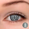 Silver Lizard Eye -Eye Colors Sale SilverLizardEye1