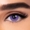 Sweet Violet -Eye Colors Sale SweetViolet1