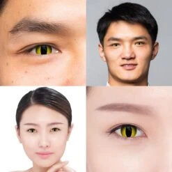 Wild Cat Contact Lenses (Anime - Orochimaru) 11 Wild Cat Contact Lenses (Anime - Orochimaru) -Eye Colors Sale chinesecouple d9d04314 6bc1 412d a186 366b7a2c50c2