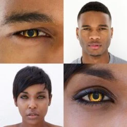 Twilight Bella Contact Lenses -Eye Colors Sale draft2