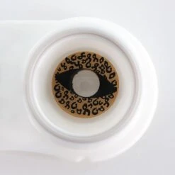 Brown Cheetah -Eye Colors Sale ezgif.com gif maker 1 5064da1c 5f1e 4067 b258 cdbff2d7a2ff